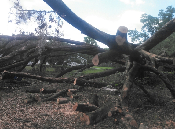 Bakers All Around Tree Service - Lakeland, FL. No job too big or small......licensed and insured 863-344-0248