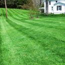 Murphy Lawn Maintenance - Landscaping & Lawn Services