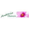 Antonio Flowers & Gifts gallery