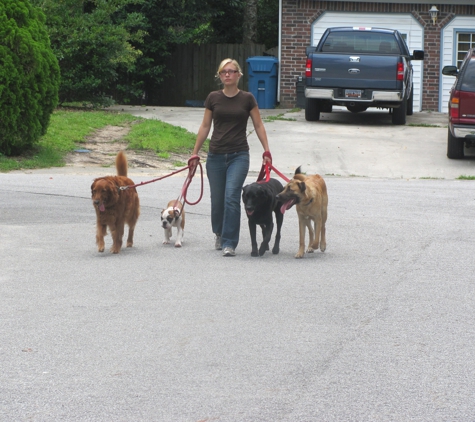 Peaceful Pups Dog Training