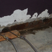 Gallery Image Number 7