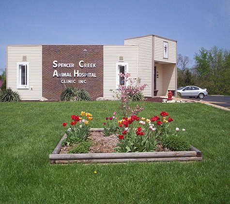 Spencer Creek Animal Hospital - Saint Peters, MO