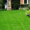 Perfection Lawn & Pest Control gallery