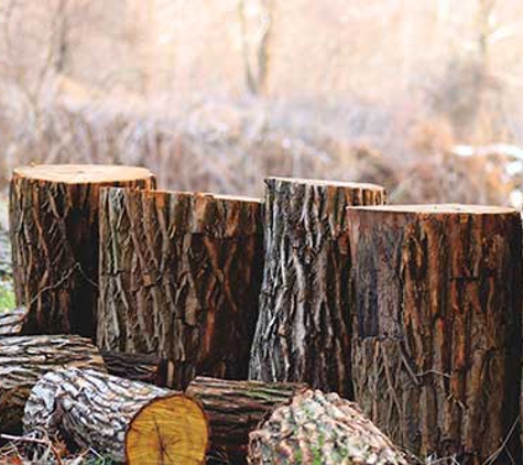 All Tree Services Aust. - Andergrove, QLD