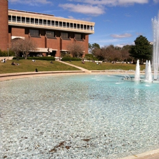 UCF Reflection Pond - Orlando, FL