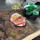 Riccabona's Landscape & Tree Service Inc.