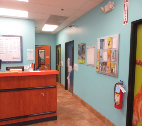 Banfield Pet Hospital - Bloomingdale, IL