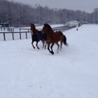 Legacy Equestrian Center