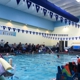 La Petite Baleen Swim Schools