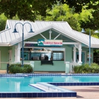 Turtle Shack Poolside Snacks