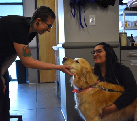 5280 Veterinary Care - Denver, CO