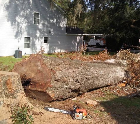 Big Bend Tree Service - Tallahassee, FL