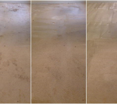 SteamLine carpet cleaning restoration - Richmond, VA