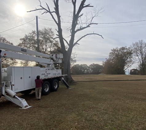 B & H Tree Service - Amory, MS