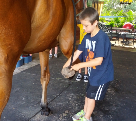 Boca Summer Horse Camp - Boca Raton, FL