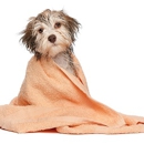 Faithful Companions Pet Grooming - Pet Grooming