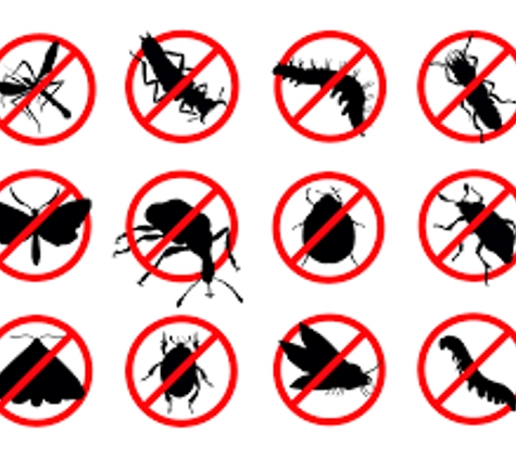 Local Pest Control Services - San Gabriel, CA