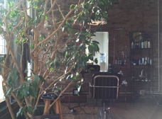 Gallery Image Number 1