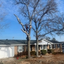 Shealey's Property Care LLC - Tree Service