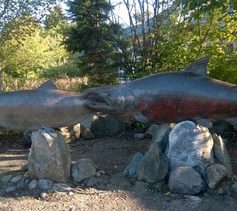 Issaquah State Salmon Hatchery - Issaquah, WA