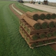 Horizon Turf Nursery Inc.