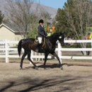 Talisman Farm - Horse Training