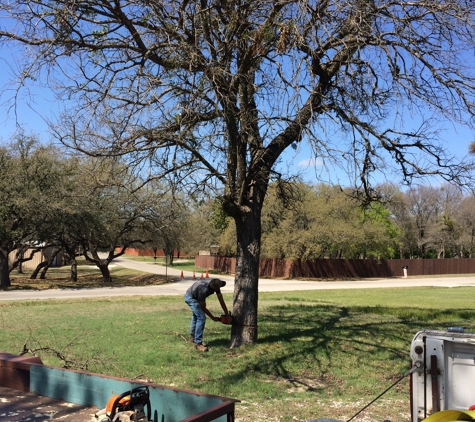 Steve's Tree Service, LLC - Weatherford, TX. before