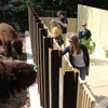 Elmwood Park Zoo gallery