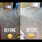 Premium Carpet Cleaning