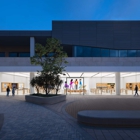 Apple Hillsdale