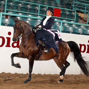 Stone Hurst Ridding Center - Louisville, KY