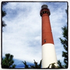 Barnegat Lighthouse State Park