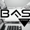 Bfsnetworking LLC - Business Coaches & Consultants