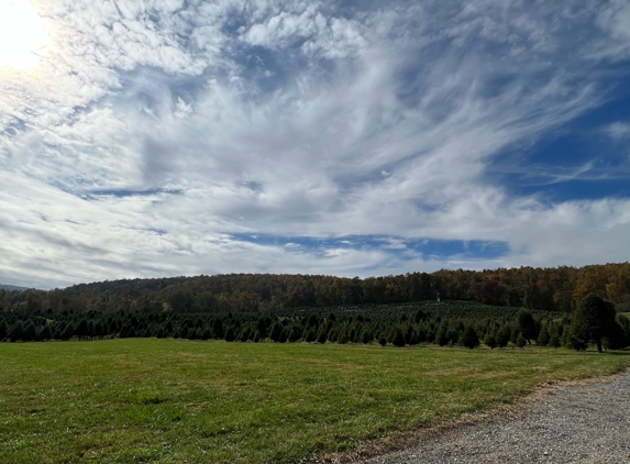 Snickers Gap Christmas Tree Farm - Round Hill, VA