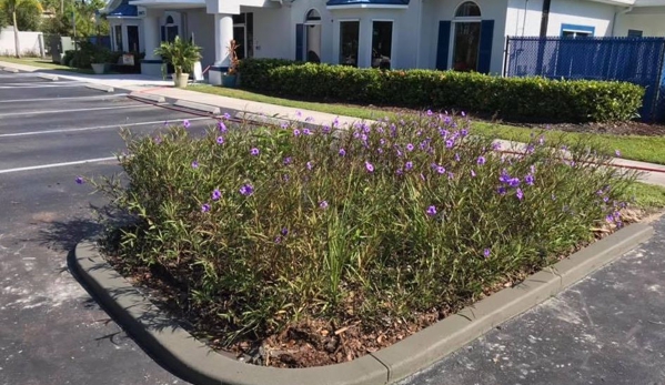 Surface Pro Concrete Solutions - Cape Coral, FL