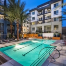 Bell South Bay Apartments - Real Estate Rental Service