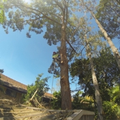 Gallery Image Number 3