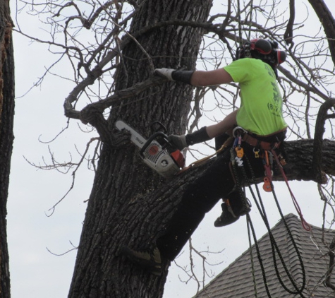 Aaron's Tree Service - Arlington, TX