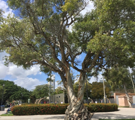 Flamingo Park - Miami Beach, FL