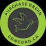 Purchase Green Artificial Grass- Concord