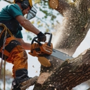 Nassau Tree Removal - Tree Service