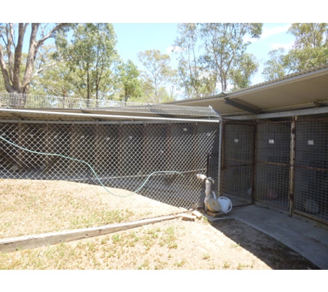 Inverell Pet Resort & Motel - Gum Flat, NSW