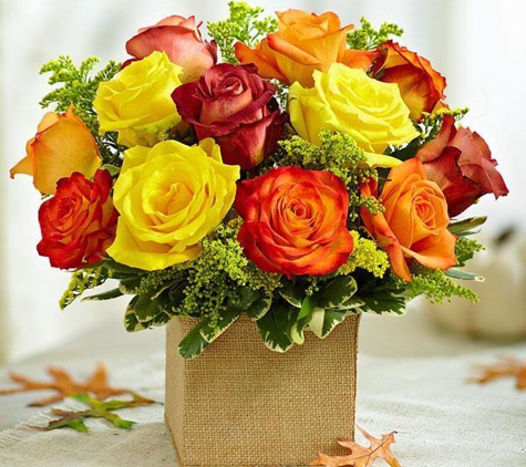 Buckingham Florist Inc. - Arlington, VA