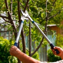 Chop Chop Tree - Tree Service