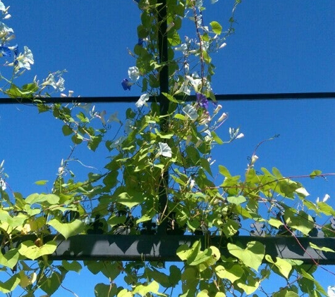 Munsinger Gardens - Saint Cloud, MN