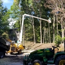 Harper Hill Tree Service - Tree Service