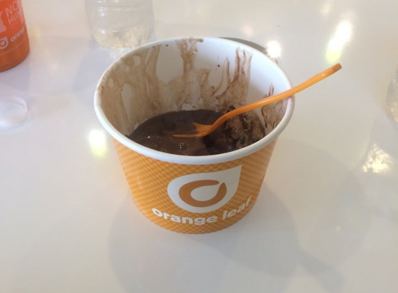 Orange Leaf Frozen Yogurt - San Marcos, TX