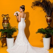 Gallery Image Number 4