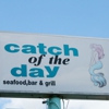 Catch Of The Day gallery