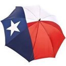 INSURANCE CONSULTANTS OF TEXAS - Insurance Consultants & Analysts